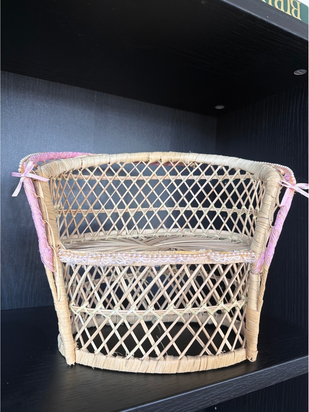 Handwoven Natural mini peacock loveseat plant holder with Pink Trim
